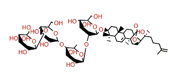 Apostichoposide A1